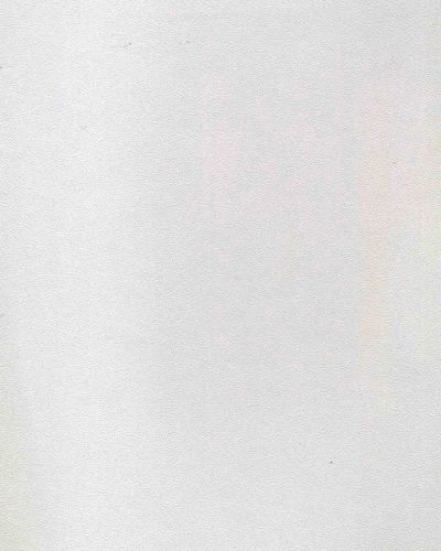 1050 P Asansör Laminant