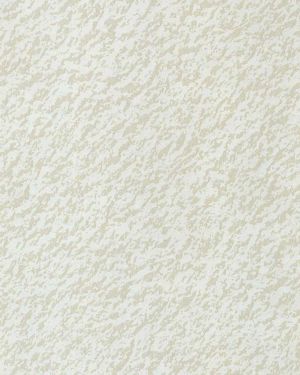 2009 P Asansör Laminant