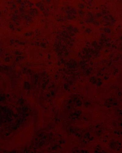 2016 P Asansör Laminant