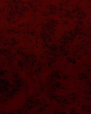 2016 P Asansör Laminant