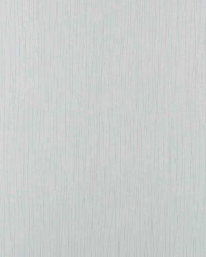 2039 P Asansör Laminant