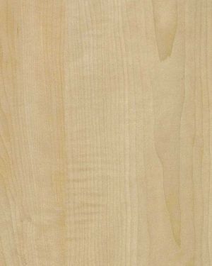 3023 P Asansör Laminant