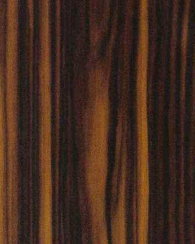 3077 P Asansör Laminant