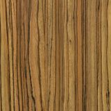 3085-P-Asansor-Laminant.jpg