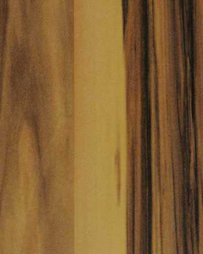 3117 P Asansör Laminant
